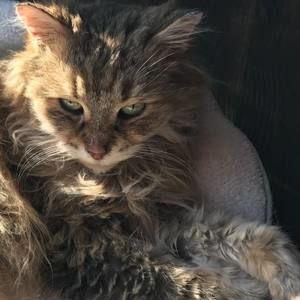 Meet your Posher, Kelly